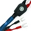 Oasis 8 Speaker Cable 2м