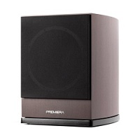 DS-10SA MC