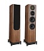 EVO 5.3 walnut