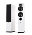 Tesi 5, white