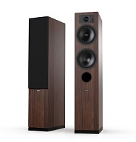 Tesi 5, wood