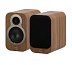 Q3010c Pin Oak