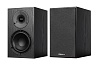 Tilia 2, black