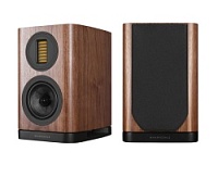 EVO 5.1 walnut