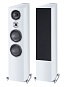 Celan Revolution 9, White Satin