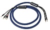 The Atlantic SPK Bi-Wire 2.5m