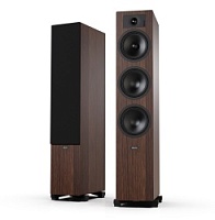 Tesi 6, wood