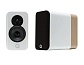 Concept 300, gloss White & Oak