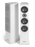 DS-631 WT